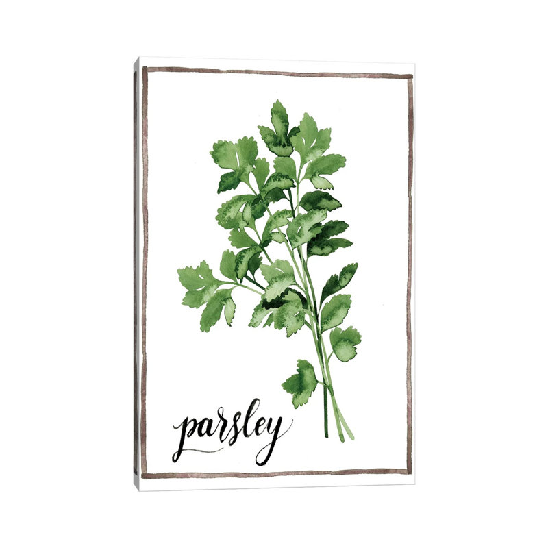 Watercolour Herbs II by Grace Popp - Wrapped Canvas Print, 101.6cm H x 66.04cm W x 1.91cm D