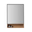 Bergen 24" Medicine Cabinet-211842276