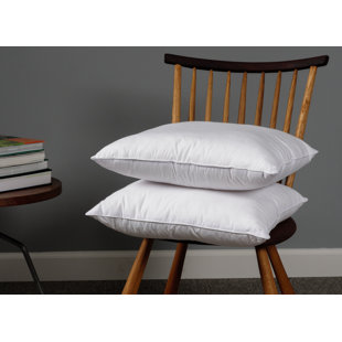 Southam Square Pillow Insert (Set of 2) Alwyn Home Size: 18 x 18