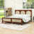 Noyer beige est en rupture de stock