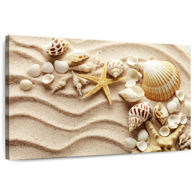 Aletra Seashells On Sand Waves