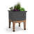 Gris graphite