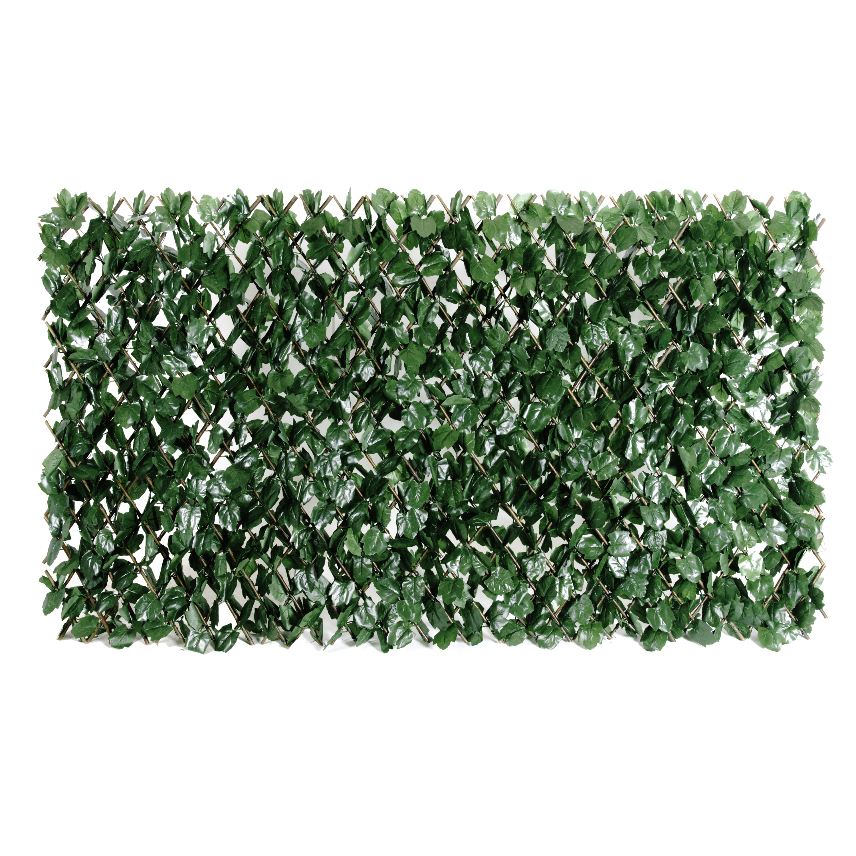 ColourTree Double-Sided Expandable Faux Hedge Artificial Ivy Privacy Fence Panel with Real Wood Trellis & Reviews | Wayfair