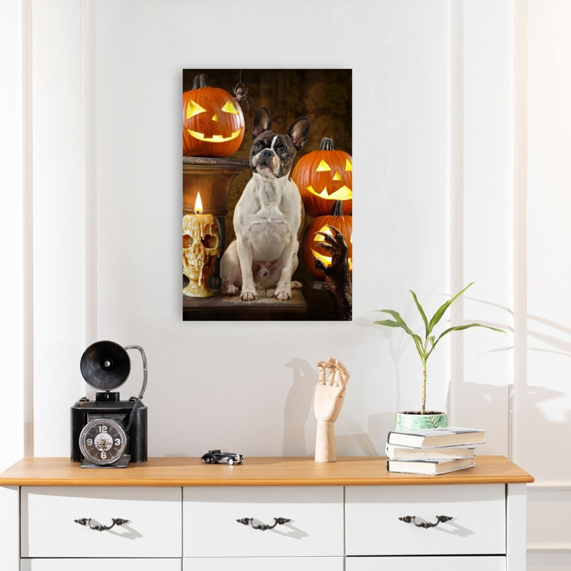 Halloween, art bouledogue français, H 24 po x l 16 po