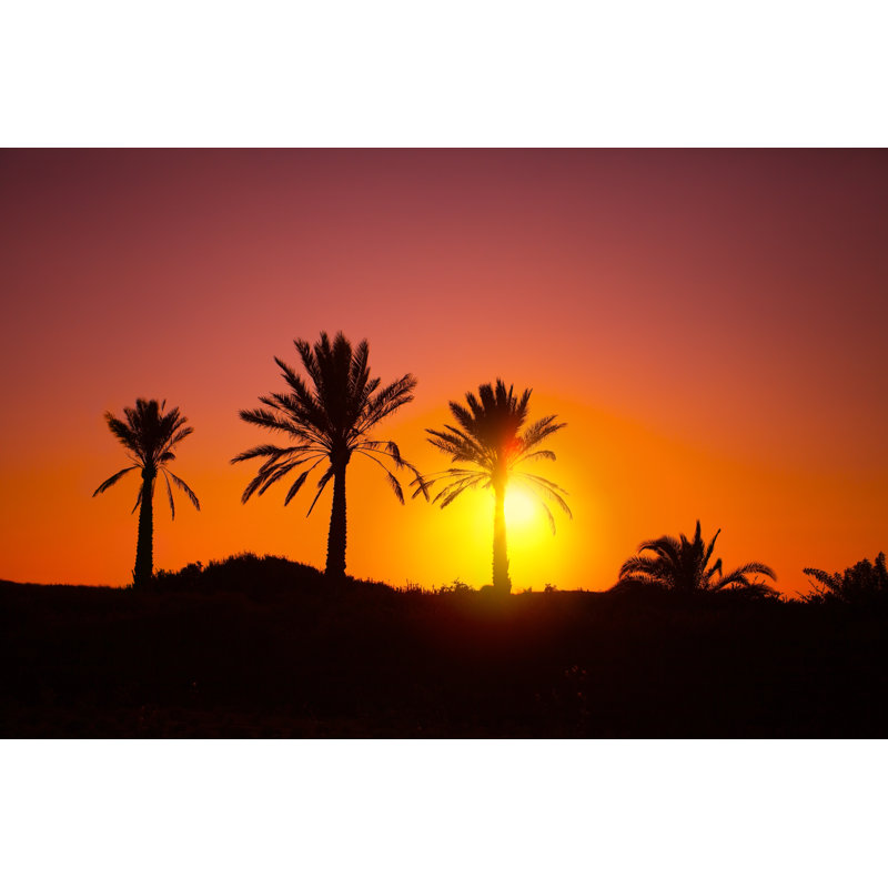 Cactier Palms Silhouette At Sunset - Wrapped Canvas Print, 30cm H x 46cm W x 3.8cm D