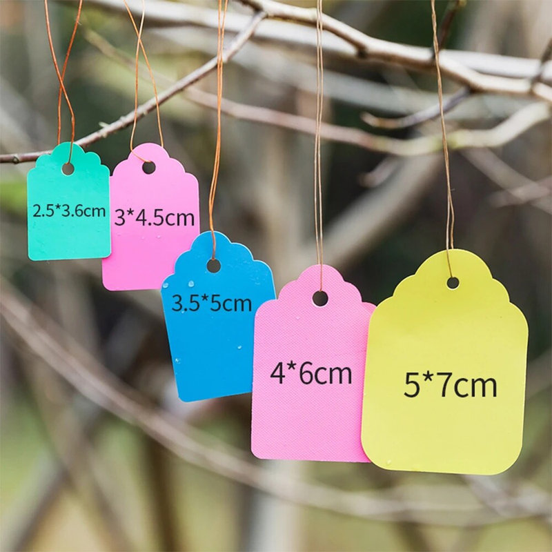 100 étiquettes pour plantes suspendues et imperméables