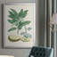 Buchoz Tropicals IV, reproduction d'art encadrée-88436184-88436187