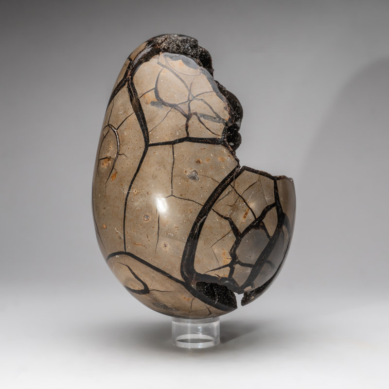 Septarian Druzy Egg