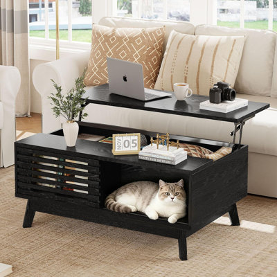 Table basse à plateau relevable, table basse moderne avec rangement Mid-Century (noir)