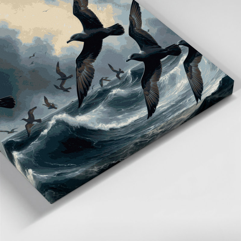 «Birds Sooty Shearwater», art mural sur toile, H 12 po x l 12 po