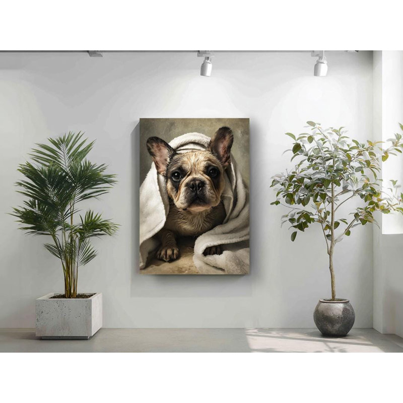 Drôle de bouledogue français sur toile, H 60 po x l 40 po