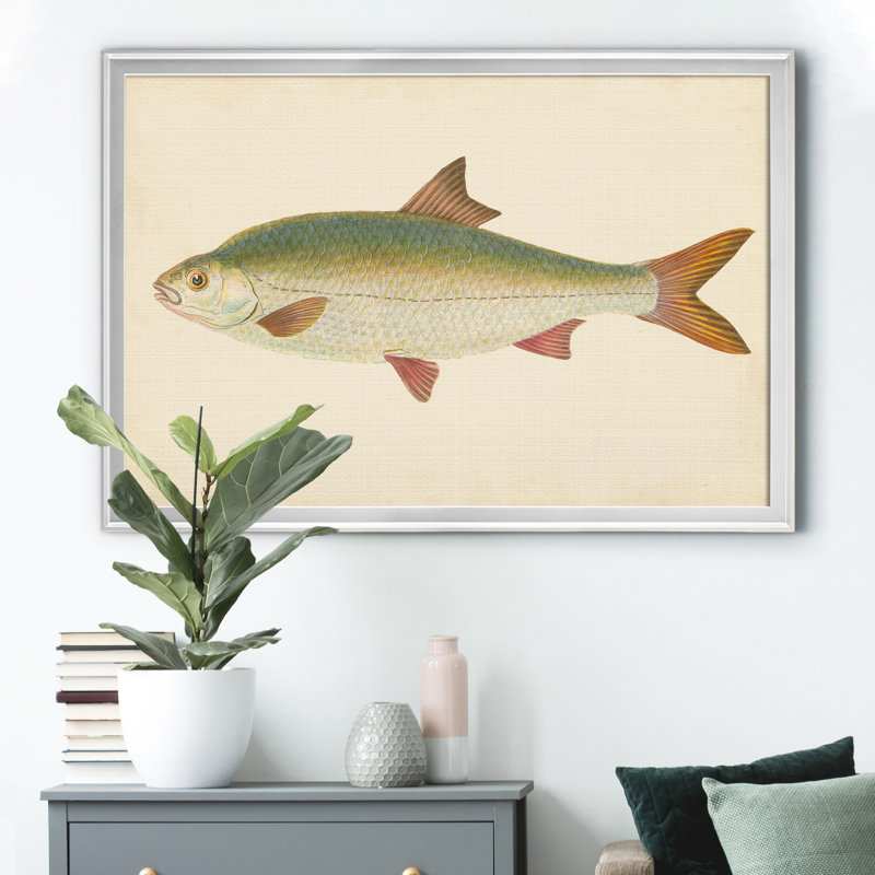 " Donovan Antique Fish II ", 18.5" H x 24.5" W x 1.5" D, Silver