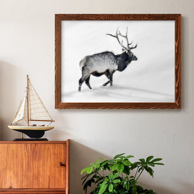 " Lone Bull "