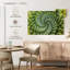 Harnek spirale succulente-111960162