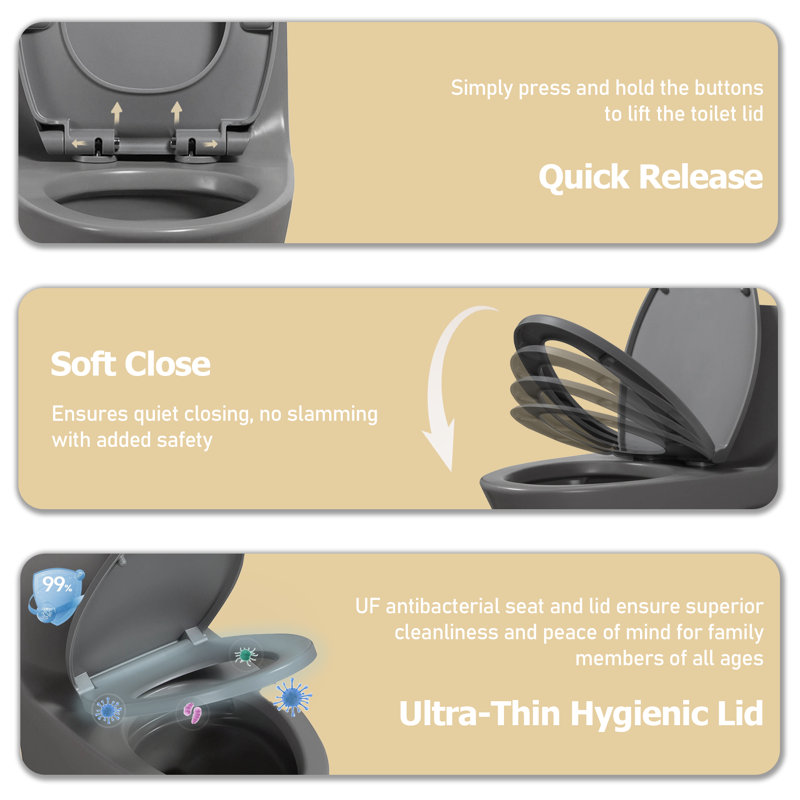 One Piece Toilet Elongated 1.1/1.6 GPF Dual-Flush Elongated ADA Comfort Height, 3 Colors Option, Light Gray
