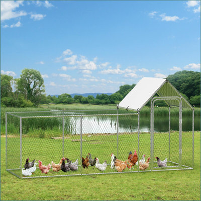 Poulailler en métal pour 6/10 poulets, poulailler avec couvercle imperméable pour la basse-cour et la ferme, poulailler pour lapins et canards, l 10 pi x P 3,3 pi x H 5 pi