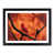 Black Framed selected