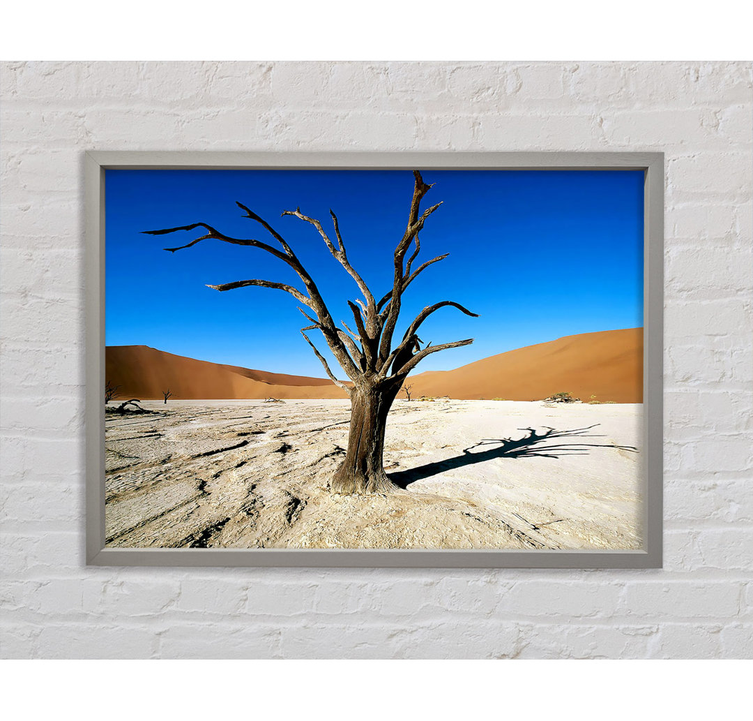 Desert Tree Branches - Single Picture Frame Kunstdrucke auf Leinwand