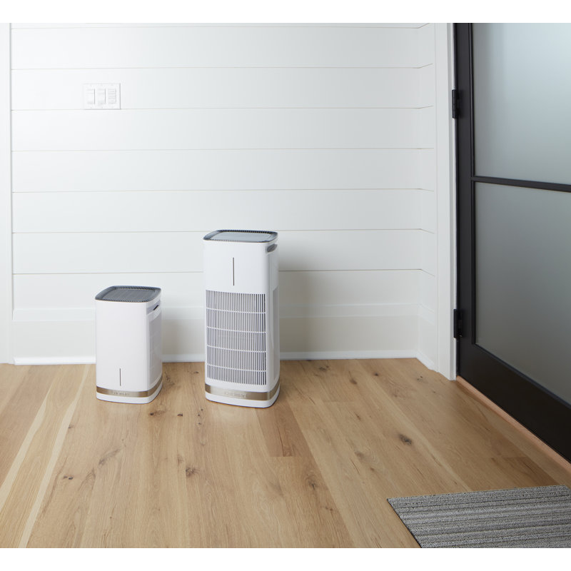 White and Gray Countertop Air Purifier with HEPA Filter