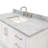 Moille 49" Single Bathroom Vanity Set-716152501