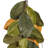 72'' in. Faux Magnolia Garland