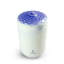 Echoes of Nature a Secret Orient Scented Jar Candle