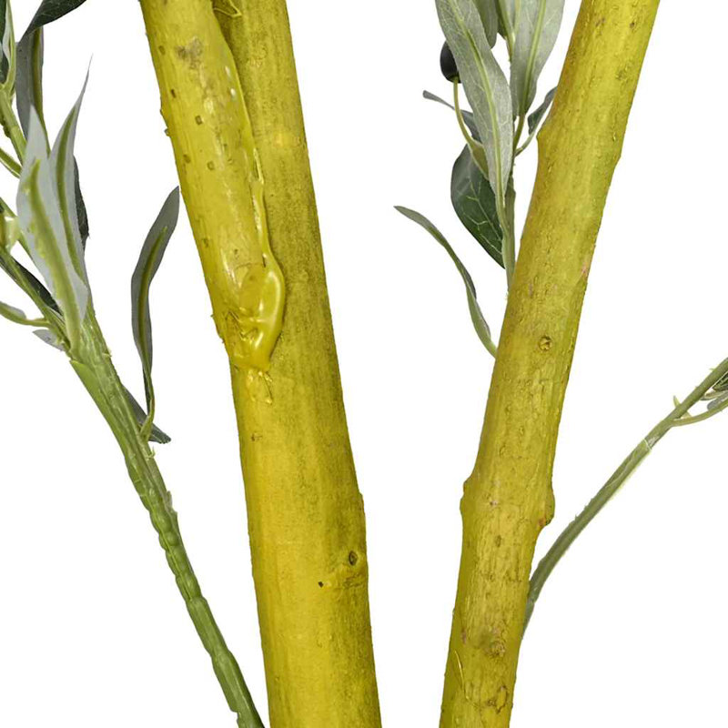 300cm Plant