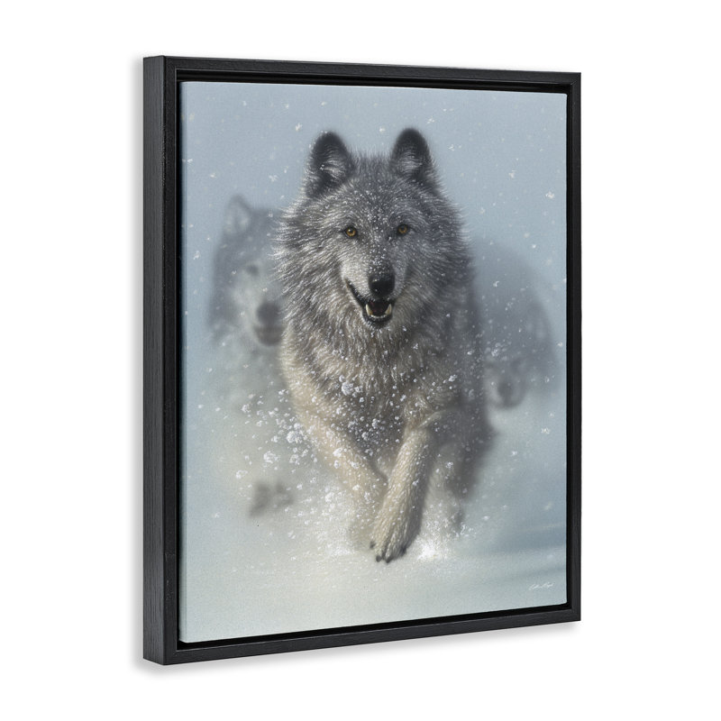 Art mural sur toile flottant "Wolves courir à travers la neige" par Collin Bogle, Cadre flottant noir de jais