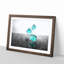 Roll of the Dice - Framed Print-56758646-56758648