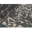 Neo Villa Oriental Area Rug in Green