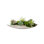 Faux Moss,Succulents Arrangement in Metal Tray