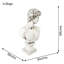David Weather Resistant Fiberstone Garden Statue
