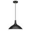 Luminaire suspendu conique à 1 lumière Cendra-382028251