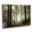 Lumière dans une forêt d'automne dense avec brouillard, œuvre d'art-358135809-295928791-358135835