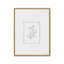 «Botanical Silhouette II» par Cindy Jacobs, reproduction d'art-1528269543-1528269537-1528269528