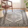 Olius Performance Oriental Rug
