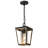 Vendramin Outdoor Hanging Lantern