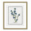 Colombe Soft Botanical I - Art encadré avec fond perdu-72514510-72514512