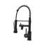 Breeins Kitchen Faucet Side Spray-1092432017