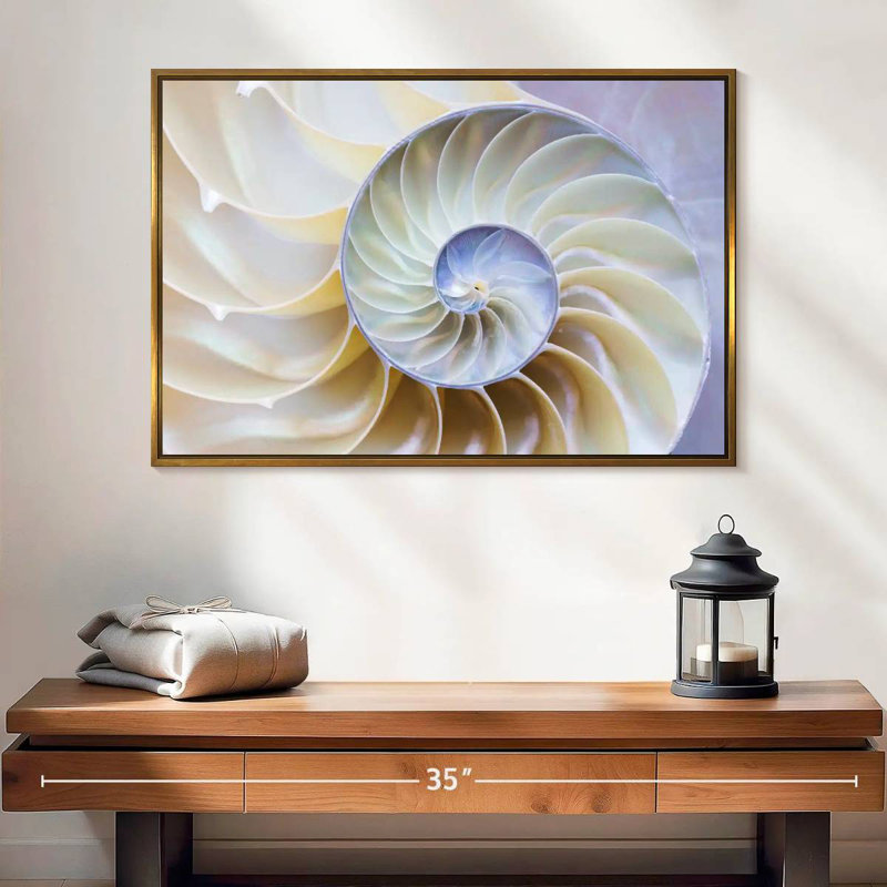 Empty Nautilus Shell, 25" X 17", Floating Frame Gold
