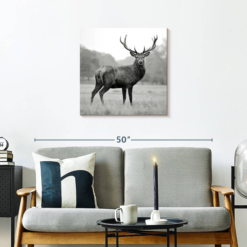 Brampt Proud Deer BW, 24" H x 24" W