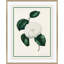 Flora VI Framed
