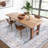 Area Rugs Living Room Rug , Non-Slip, Machine Washable, Low Pile Oriental Rugs, Soft Carpet for Living Room, Bedroom, Dining Room-1447683272