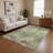 Premium Machine Washable Maag AMF1786 Swirls Rug-1745724210