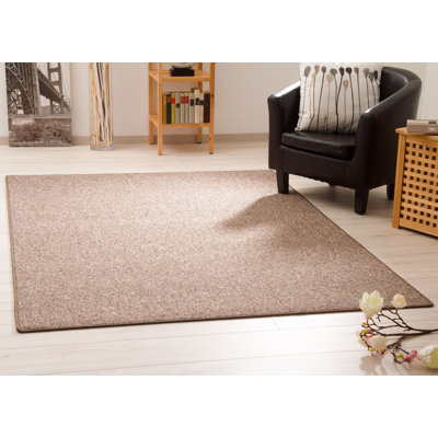 Ellenora Machine Tufted Area Rug