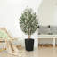 Adcock Faux Olive Tree with UV Protection, 2 Natural Tree Trunks, Large Decorative Potted Olive Tree-307165304-307165307