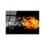 Boze Wall Decor on Tempered Glass