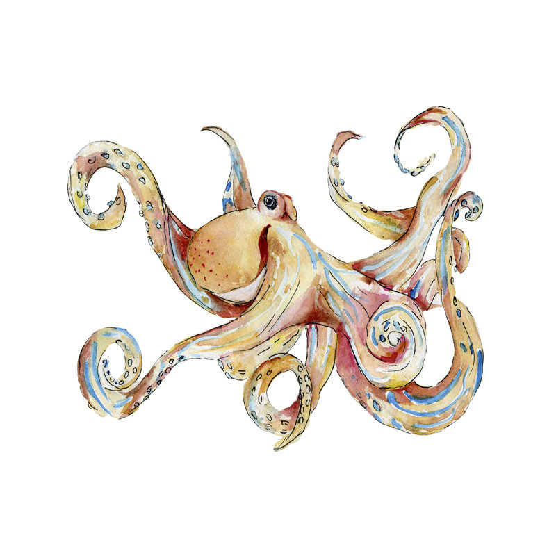 Marine Life - Wrapped Canvas Print, 30cm H x 30cm W x 3.8cm D