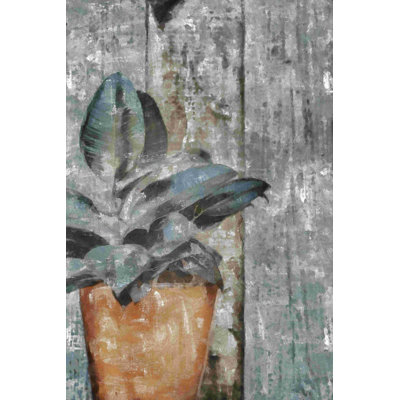 " Painted Succulent On Gray Wood "