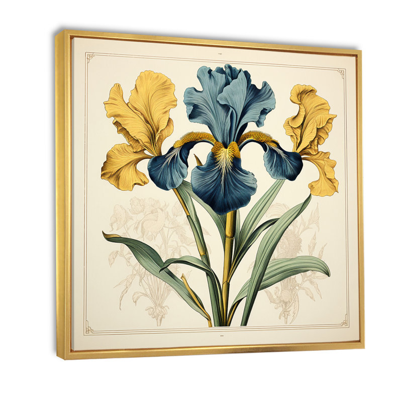 Illustration rétro d'iris bleus jaunes sur toile, H 30 po x l 30 po x P 1 po, Cadre flottant doré